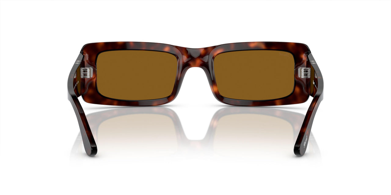 24/33 - Tortoise - Brown