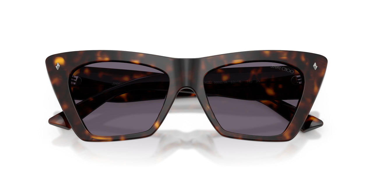 50021A - Tortoise - Violet
