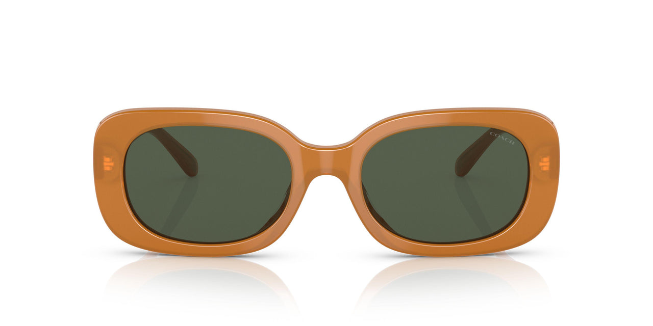 571282 - Yellow - Green Solid