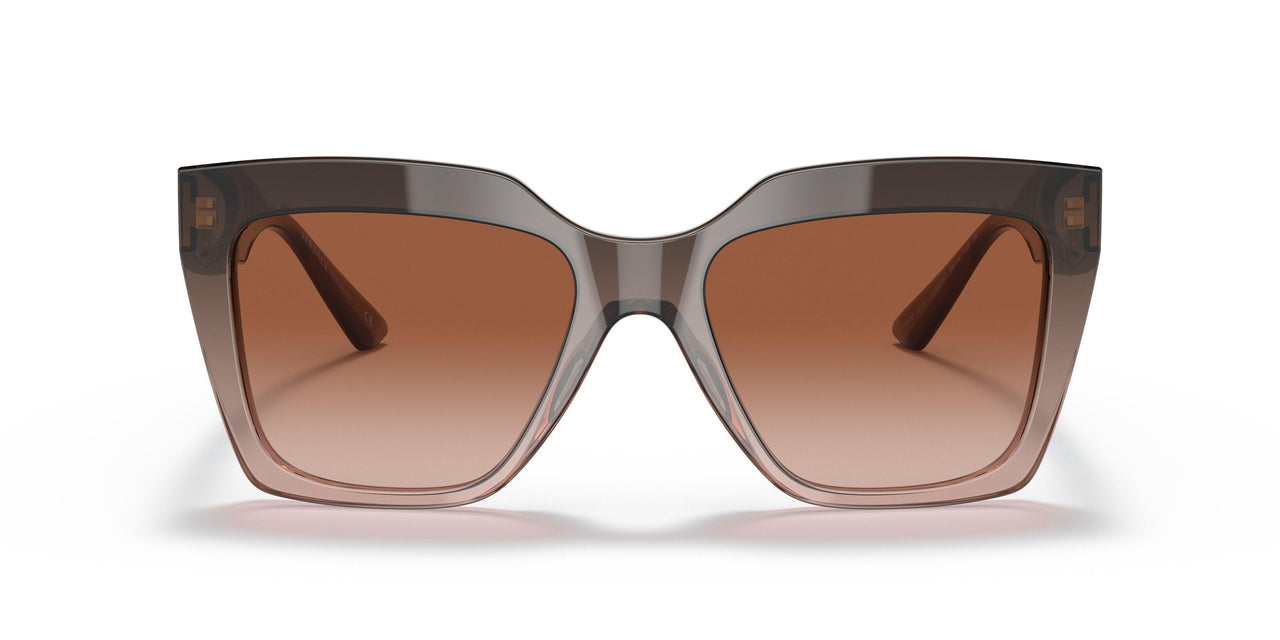 533213 - Brown - Brown Gradient