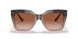 533213 - Brown - Brown Gradient