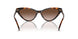 300613 - Tortoise - Brown Gradient
