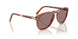 96/53 - Brown - Violet