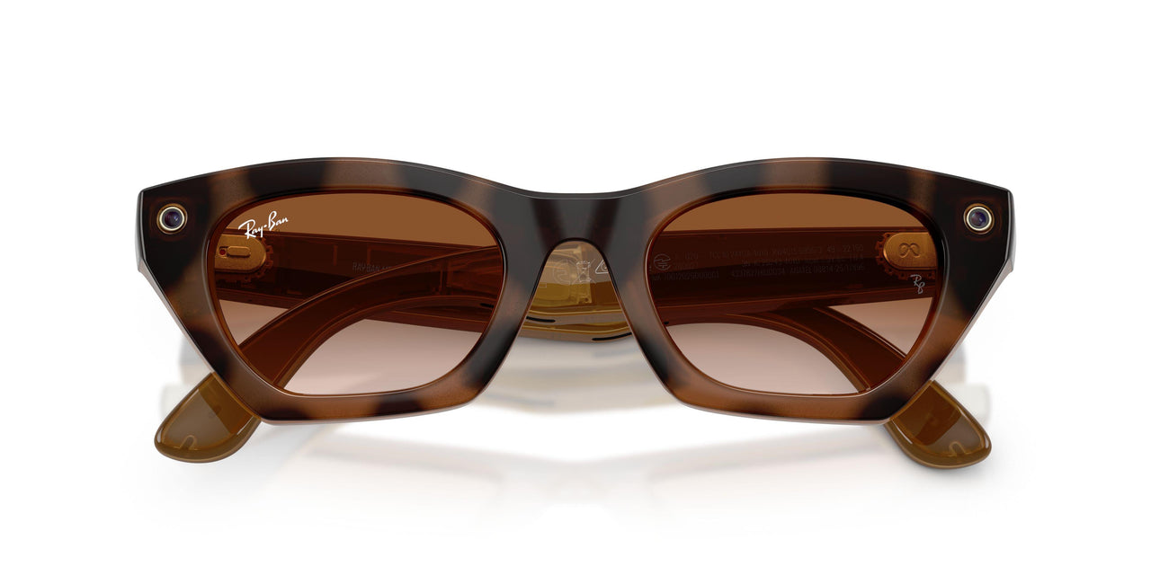 690513 - Tortoise - Gradient Brown