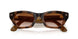 690513 - Tortoise - Gradient Brown