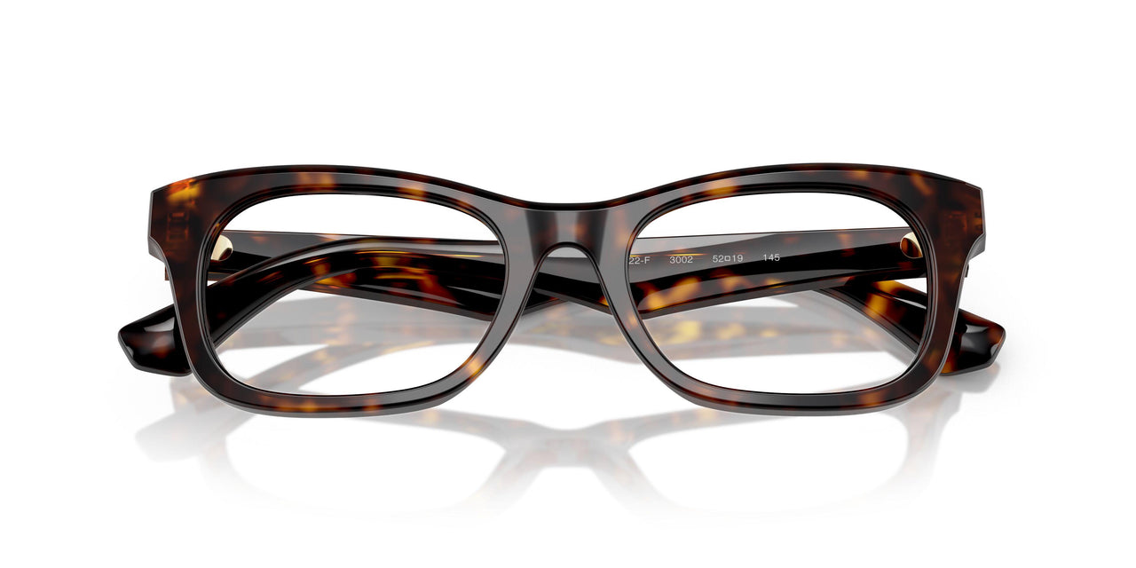 3002 - Brown