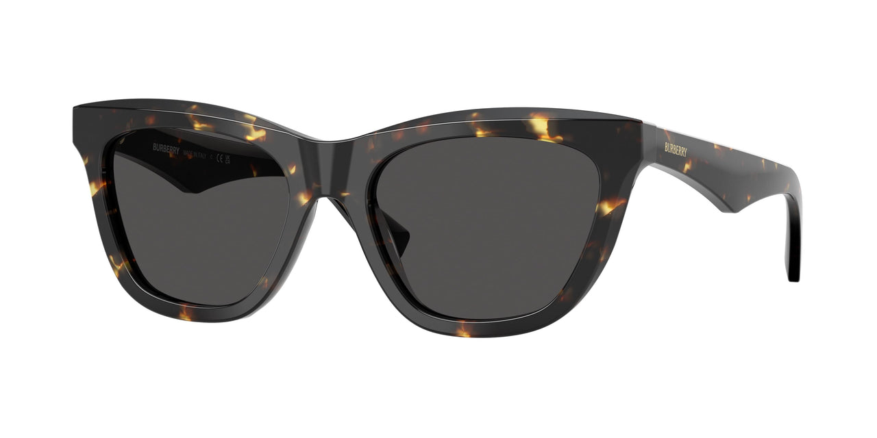 410687 - Tortoise - Dark Grey