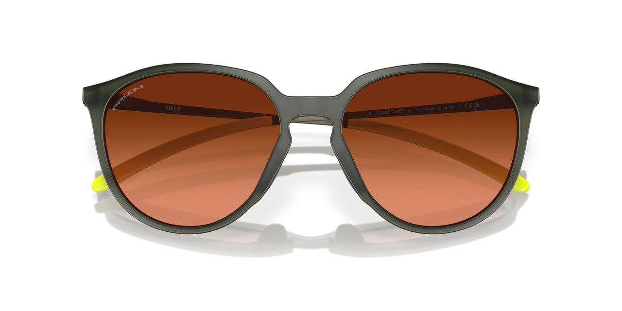 928802 - Green - Prizm Brown Gradient