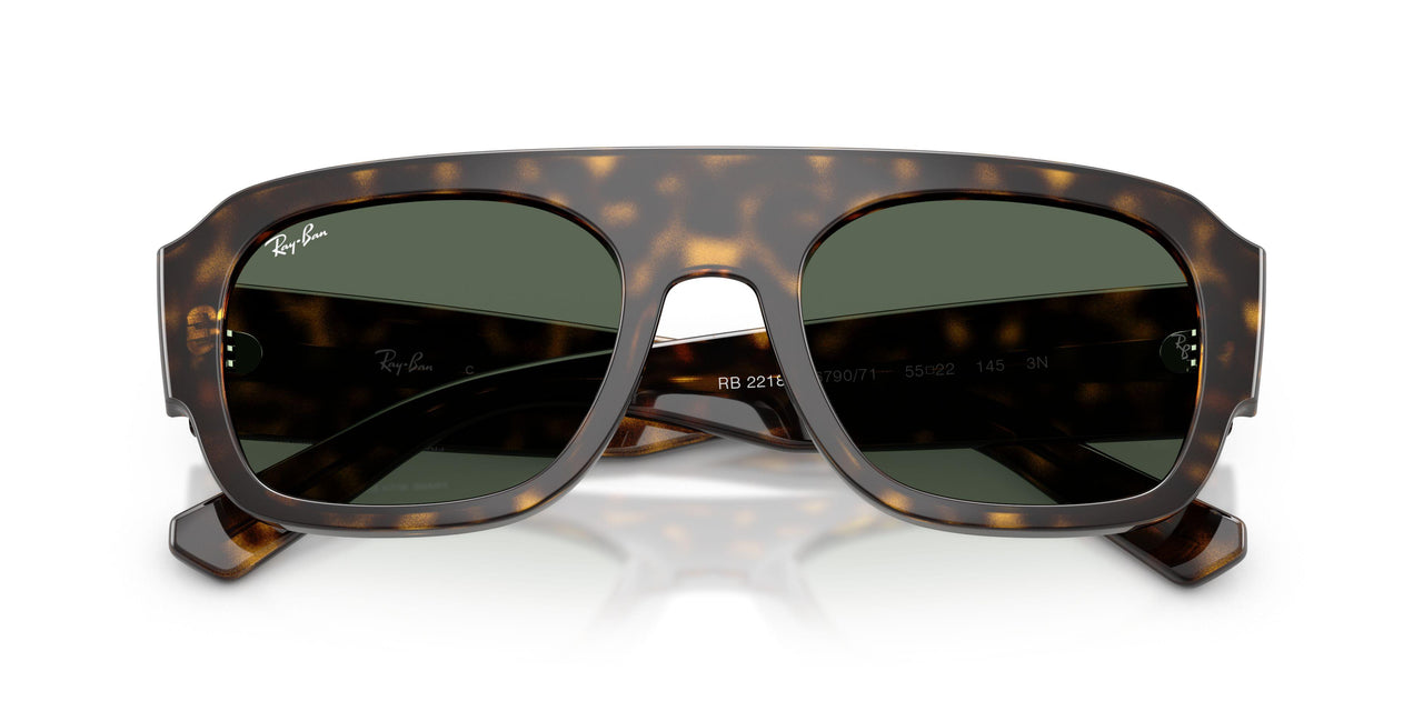 679071 - Tortoise - Green
