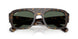 679071 - Tortoise - Green