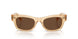 1766AN - Brown - Terra Polarized