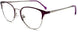 C4 - Violet Silver