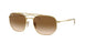 001/51 - Gold - Brown