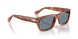 96/56 - Brown - Light Blue