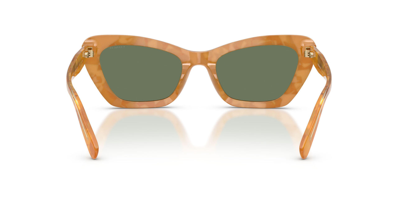 593982 - Tortoise - Green Solid