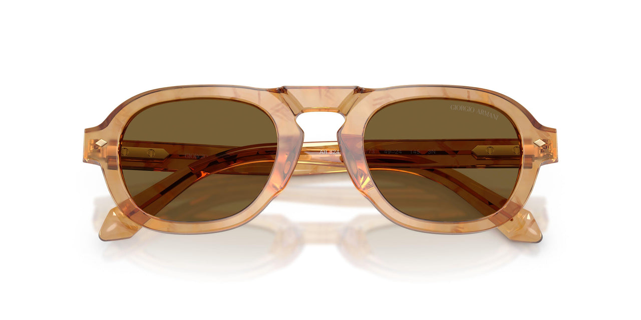 630073 - Tortoise - Dark Brown