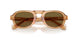 630073 - Tortoise - Dark Brown