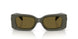 549173 - Green - Dark Brown