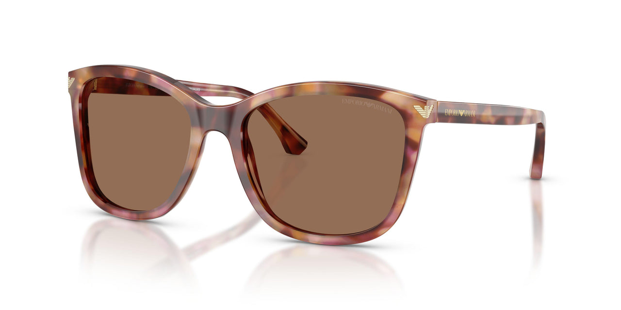 619673 - Red - Dark Brown