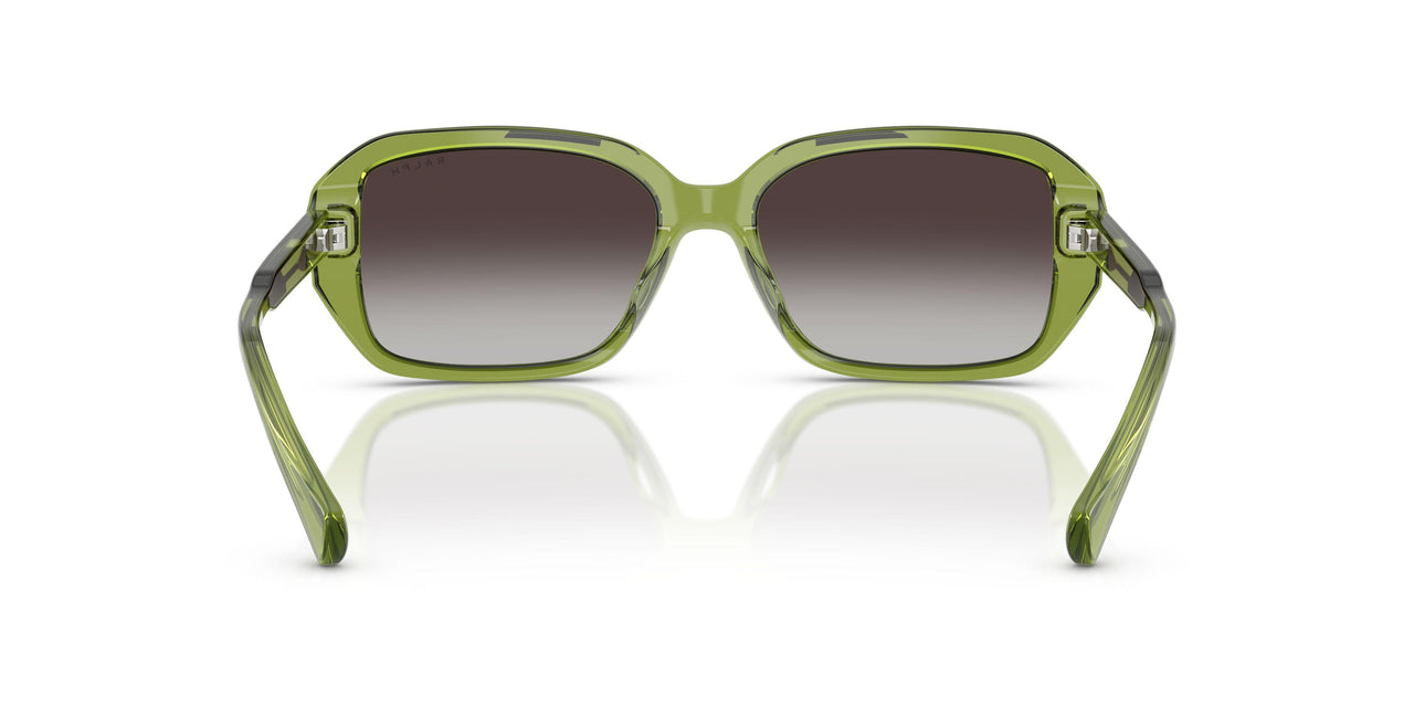 62228G - Green - Gradient Grey
