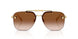 100213 - Gold - Brown Gradient