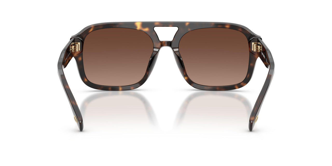 1964T5 - Tortoise - Polar Light Brown Gradient