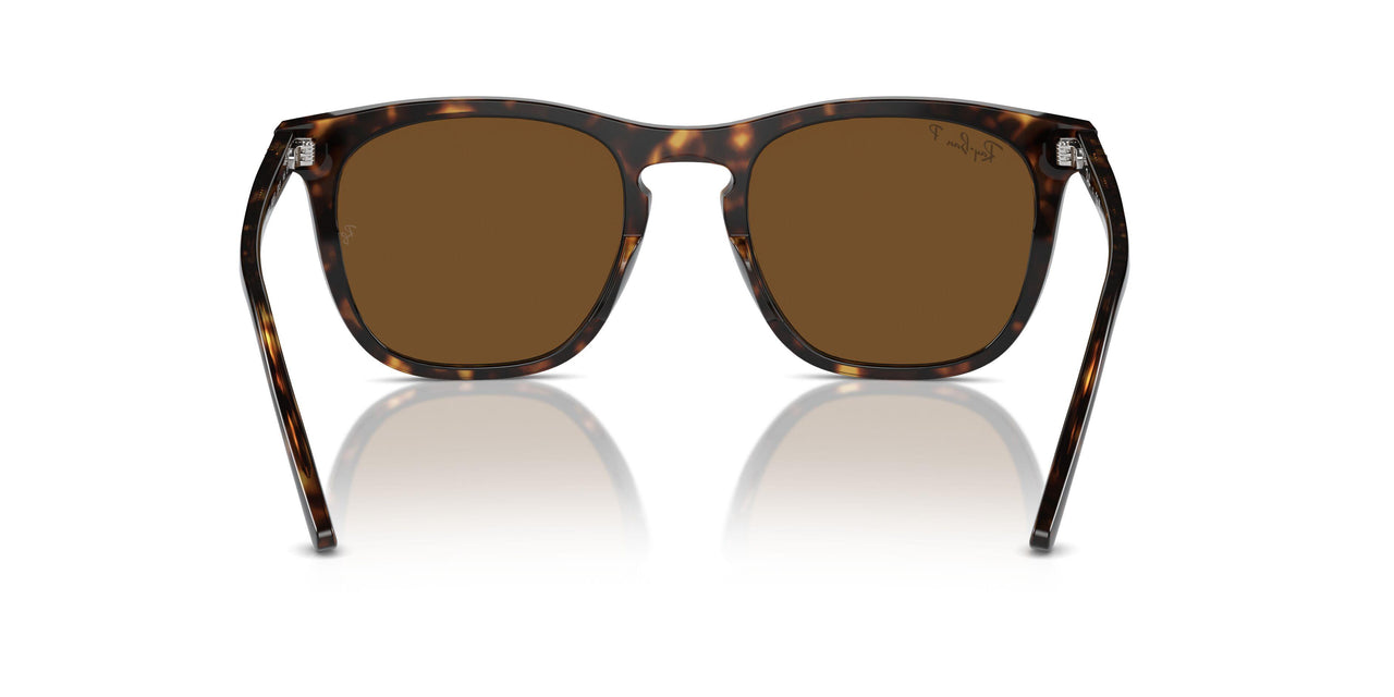 902/57 - Tortoise - Brown