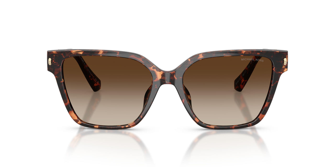 300613 - Tortoise - Smoke Gradient
