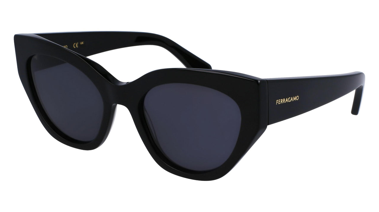 Salvatore Ferragamo SF1107S Sunglasses