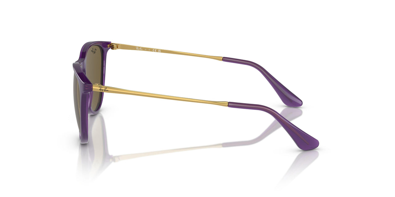 713173 - Violet - Dark Brown