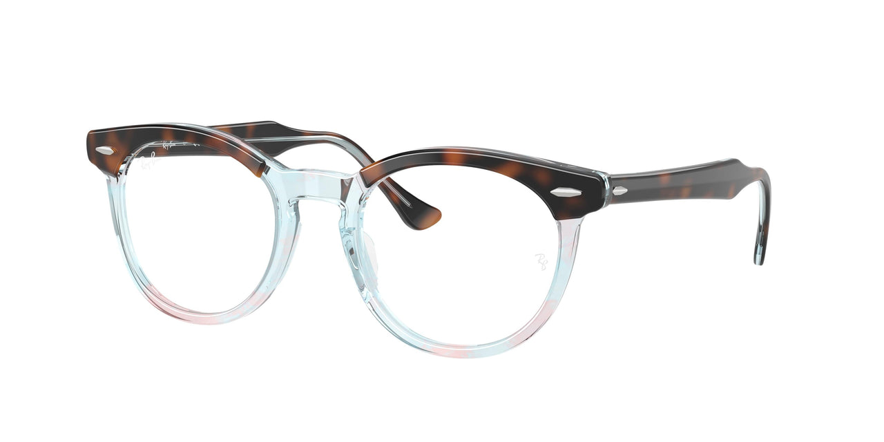 Ray-Ban Eagleeye 5598 Eyeglasses