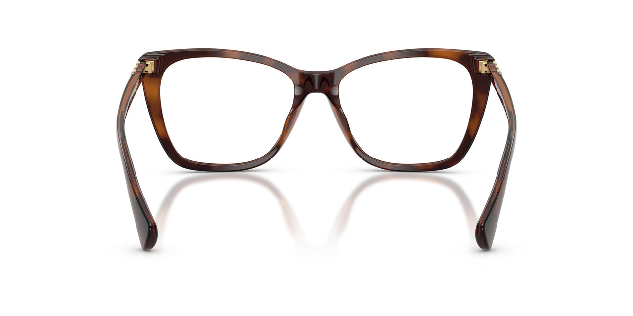 6149 - Tortoise