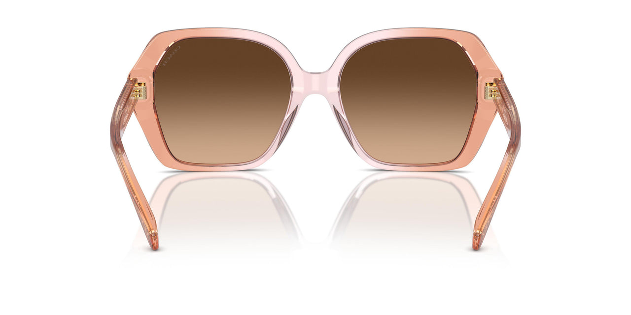 581274 - Brown - Brown Gradient