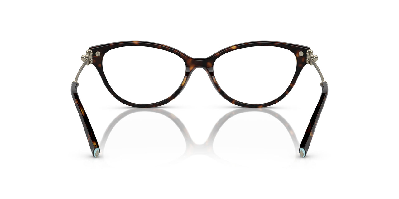8015 - Tortoise