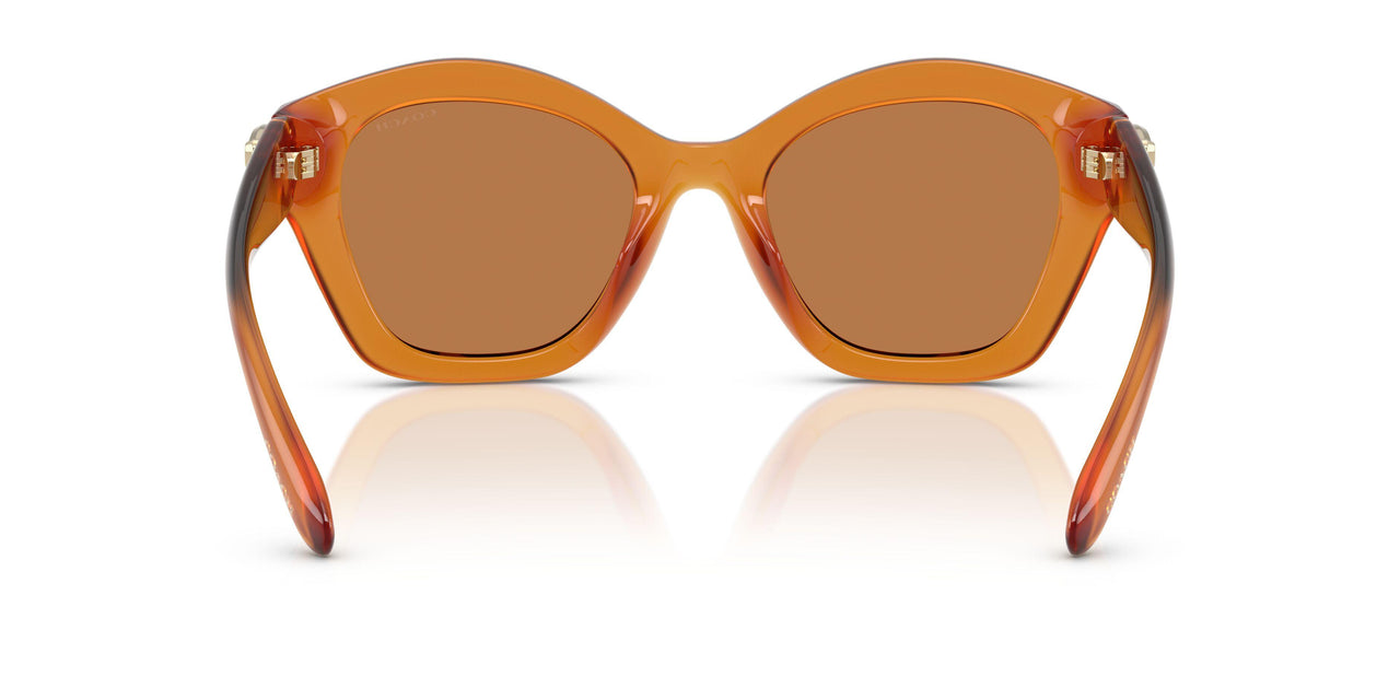 564773 - Orange - Brown Solid