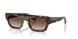 W65613 - Brown - Gradient Brown
