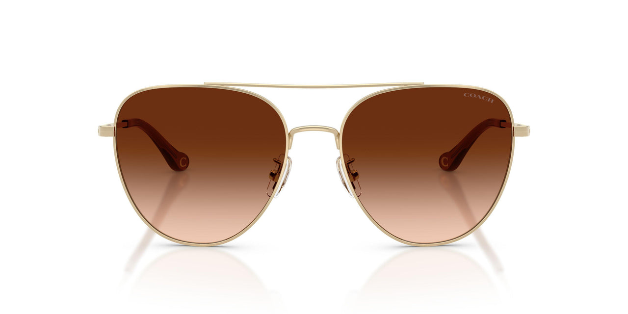 900574 - Gold - Brown Gradient