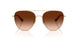 900574 - Gold - Brown Gradient