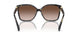 395213 - Bright Blue Tortoise - Brown Gradient