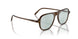 1625 - Brown