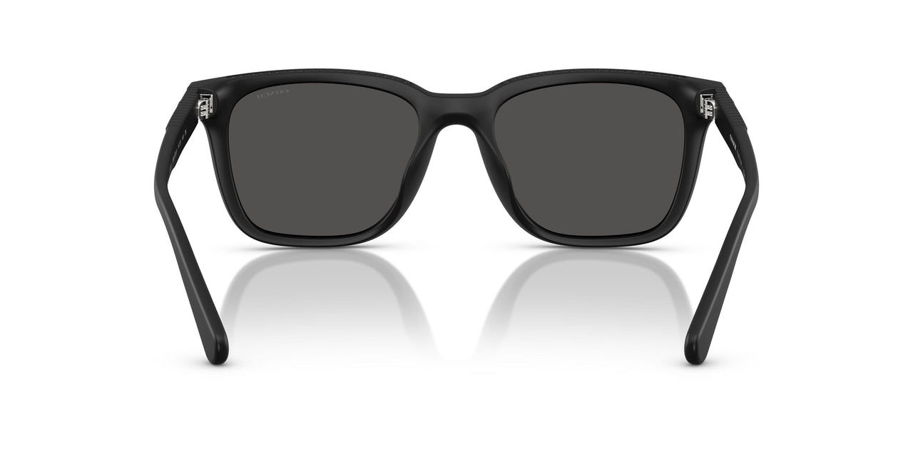 500287 - Black - Grey Solid