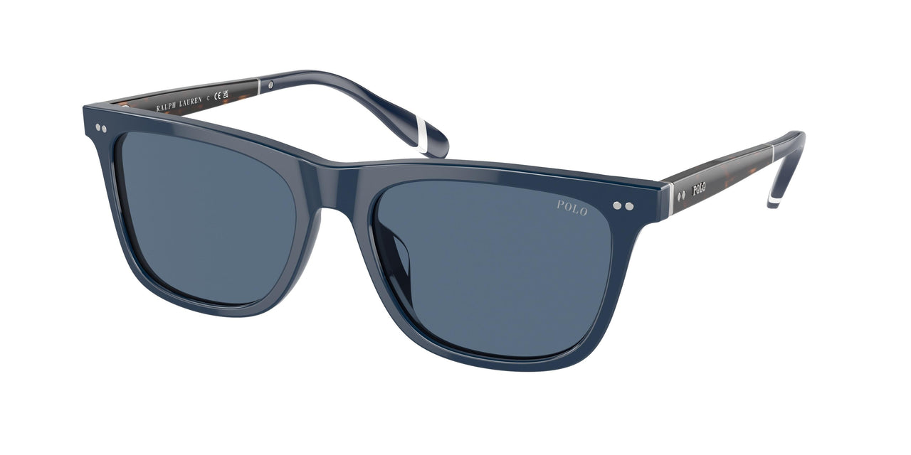 Polo 4205U Sunglasses