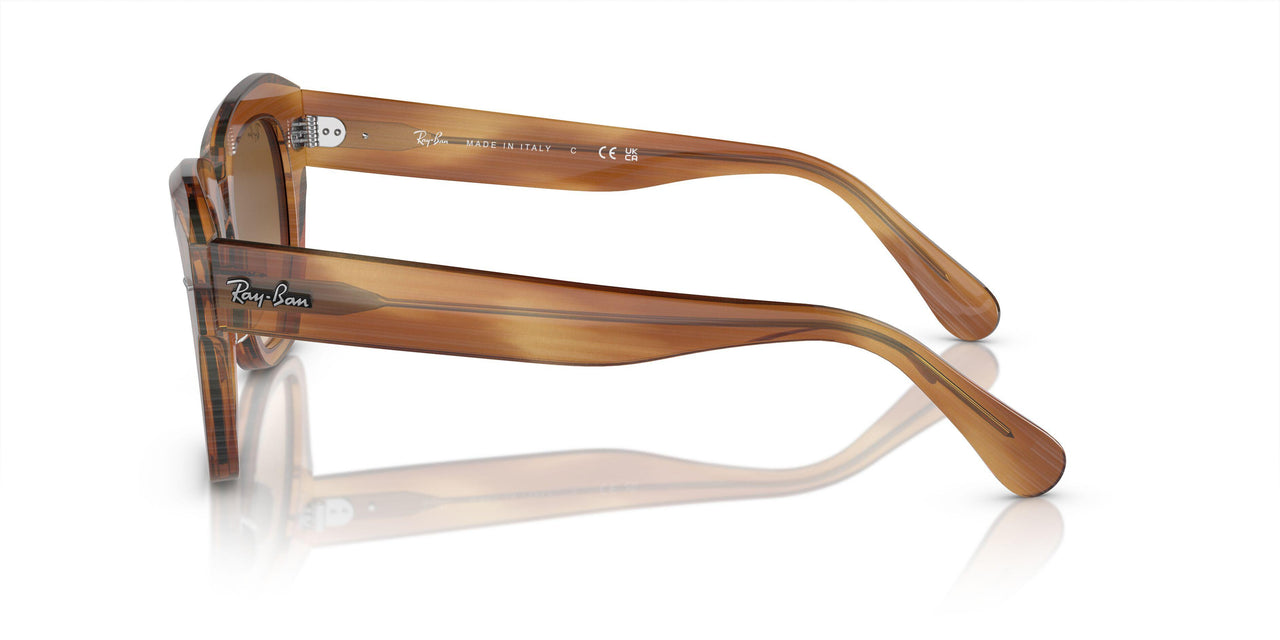 140351 - Tortoise - Clear & Brown