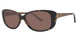 550 - Tortoise