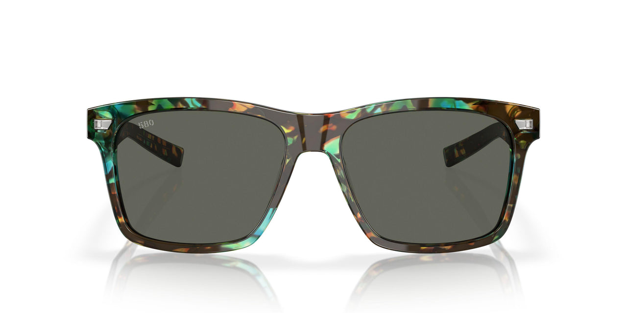 200506 - 204 Shiny Ocean Tortoise - Gray 580g