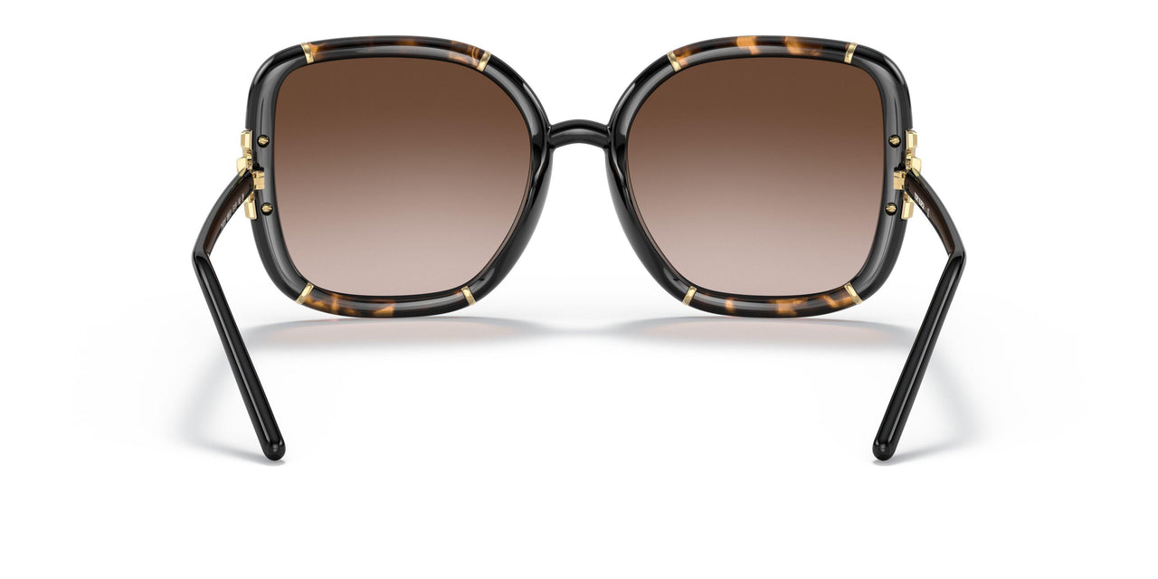 189613 - Havana - Brown Gardient