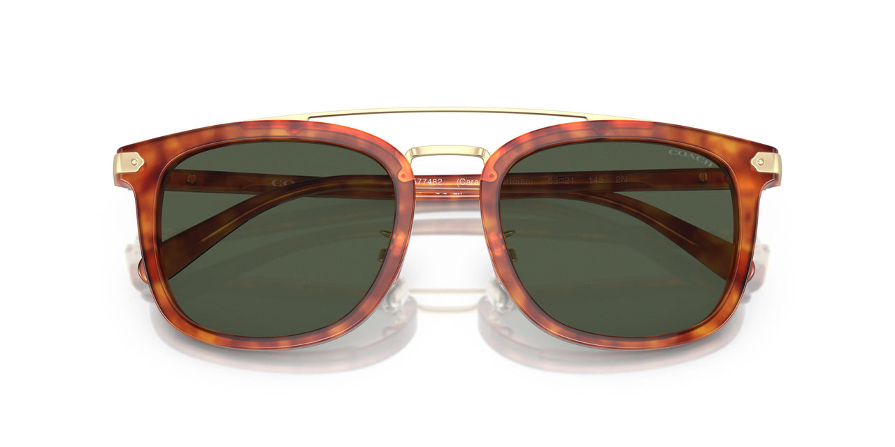 577482 - Tortoise - Army Green