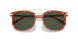 577482 - Tortoise - Army Green