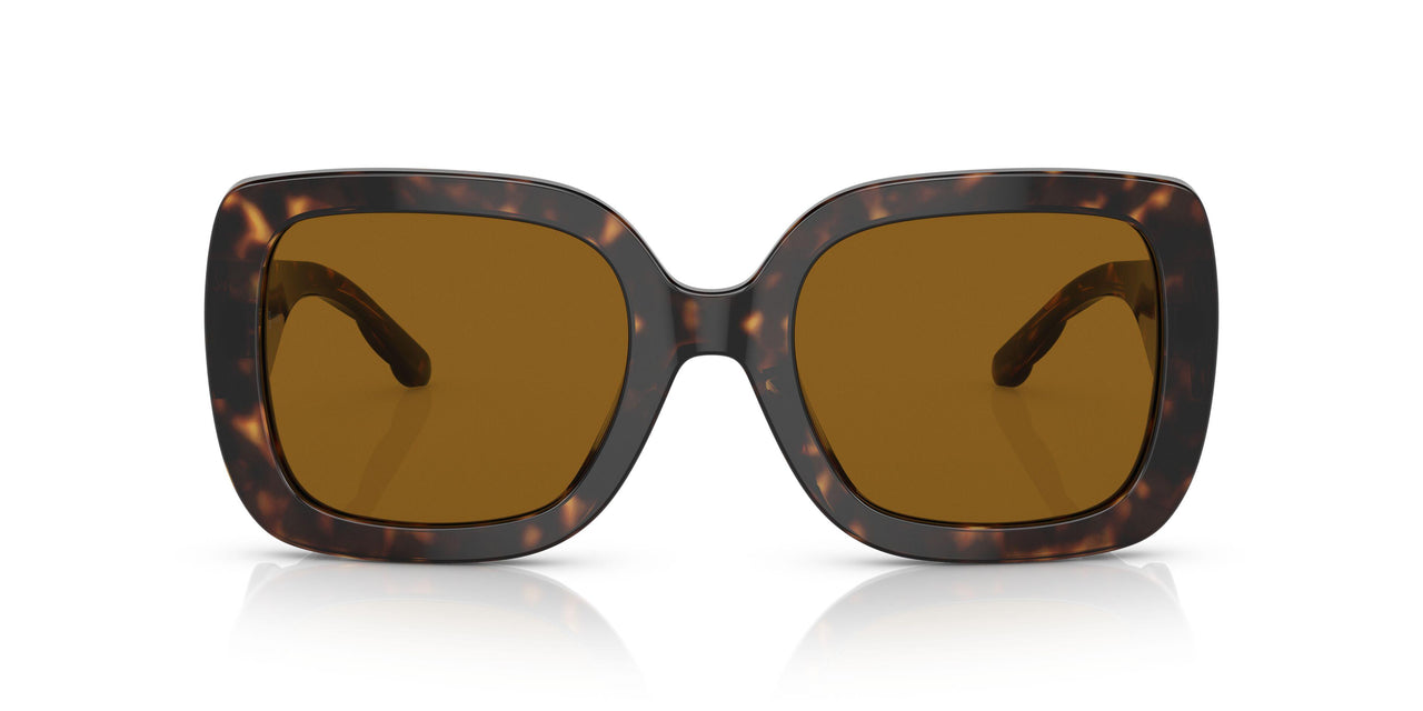 172883 - Havana - Solid Brown Polar