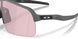946339 - Grey - Prizm Transitions Black